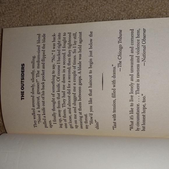The Outsiders (Author: S.E. Hinton) - Picture 7 of 8